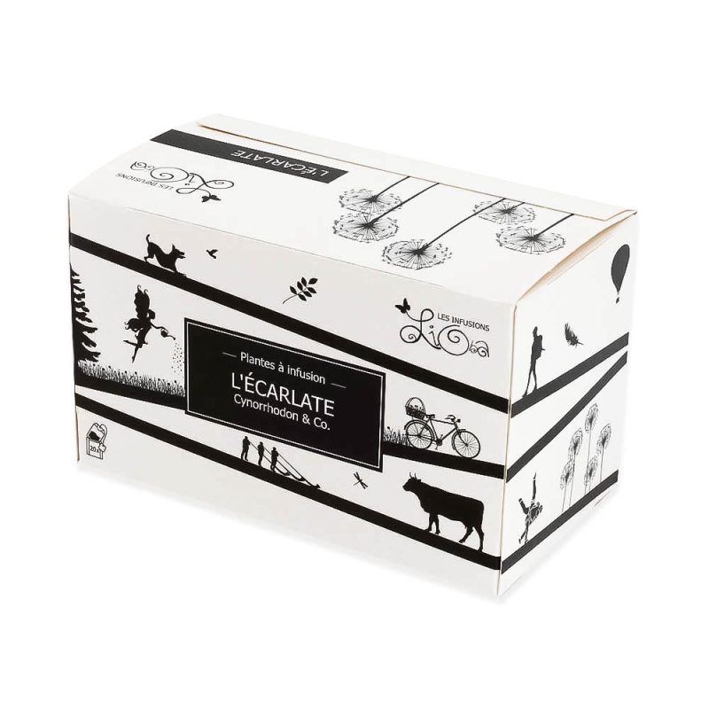 Infusion Lioba - Sortiment 10 pack